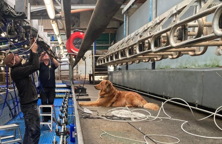 ADF Milking X Hammerjobs